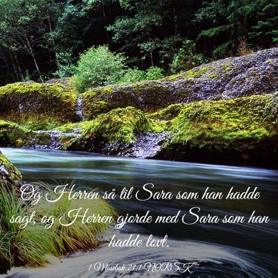 Picture 03 - 1 Mosebok 21:1 NORSK - Og Herren så til Sara som han hadde sagt, og - Bible Verse Picture