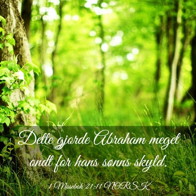 Picture 03 - 1 Mosebok 21:11 NORSK - Dette gjorde Abraham meget ondt for hans sønns - Bible Verse Picture