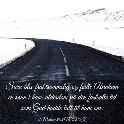 Picture 03 - 1 Mosebok 21:2 NORSK - Sara blev fruktsommelig og fødte Abraham en - Bible Verse Picture