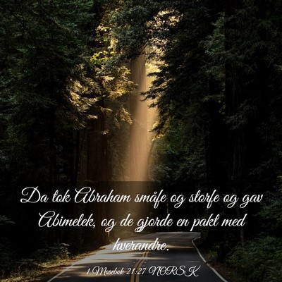 Picture 03 - 1 Mosebok 21:27 NORSK - Da tok Abraham småfe og storfe og gav Abimelek, - Bible Verse Picture