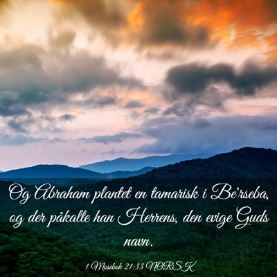 Picture 03 - 1 Mosebok 21:33 NORSK - Og Abraham plantet en tamarisk i Be'rseba, og der - Bible Verse Picture