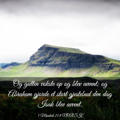Picture 03 - 1 Mosebok 21:8 NORSK - Og gutten vokste op og blev avvent; og Abraham - Bible Verse Picture