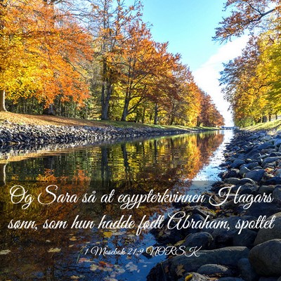 Picture 03 - 1 Mosebok 21:9 NORSK - Og Sara så at egypterkvinnen Hagars sønn, som - Bible Verse Picture