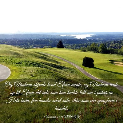 Picture 03 - 1 Mosebok 23:16 NORSK - Og Abraham skjønte hvad Efron mente, og Abraham - Bible Verse Picture