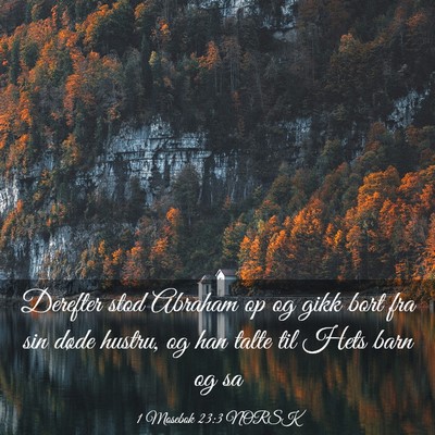 Picture 03 - 1 Mosebok 23:3 NORSK - Derefter stod Abraham op og gikk bort fra sin - Bible Verse Picture