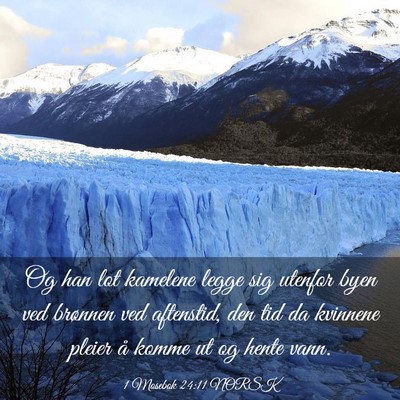 Picture 03 - 1 Mosebok 24:11 NORSK - Og han lot kamelene legge sig utenfor byen ved - Bible Verse Picture