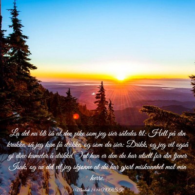 Picture 03 - 1 Mosebok 24:14 NORSK - La det nu bli så at den pike som jeg sier - Bible Verse Picture