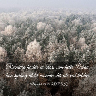 Picture 03 - 1 Mosebok 24:29 NORSK - Rebekka hadde en bror, som hette Laban; han - Bible Verse Picture