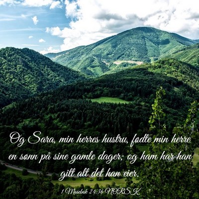Picture 03 - 1 Mosebok 24:36 NORSK - Og Sara, min herres hustru, fødte min herre en - Bible Verse Picture