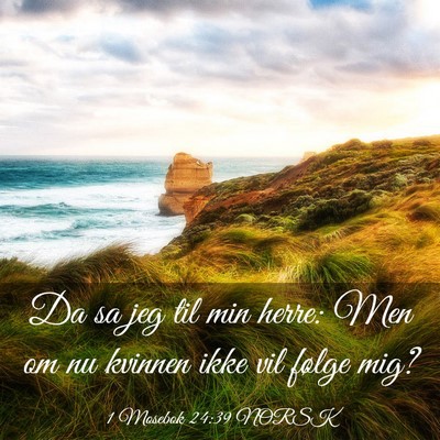 Picture 03 - 1 Mosebok 24:39 NORSK - Da sa jeg til min herre: Men om nu kvinnen ikke - Bible Verse Picture