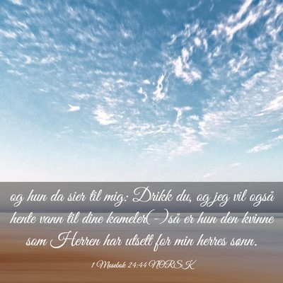 Picture 03 - 1 Mosebok 24:44 NORSK - og hun da sier til mig: Drikk du, og jeg vil - Bible Verse Picture
