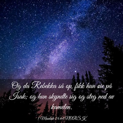 Picture 03 - 1 Mosebok 24:64 NORSK - Og da Rebekka så op, fikk hun øie på Isak; og - Bible Verse Picture