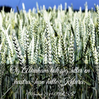 Picture 03 - 1 Mosebok 25:1 NORSK - Og Abraham tok sig atter en hustru; hun hette - Bible Verse Picture