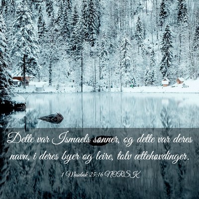Picture 03 - 1 Mosebok 25:16 NORSK - Dette var Ismaels sønner, og dette var deres - Bible Verse Picture