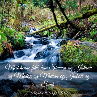 Picture 03 - 1 Mosebok 25:2 NORSK - Med henne fikk han Simran og Joksan og Medan og - Bible Verse Picture