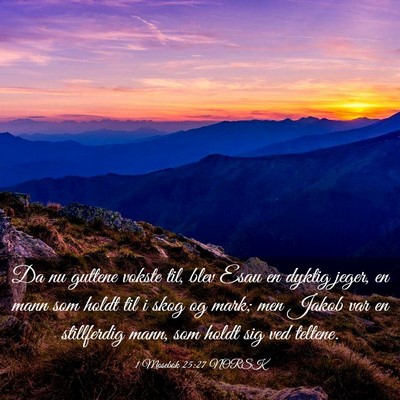 Picture 03 - 1 Mosebok 25:27 NORSK - Da nu guttene vokste til, blev Esau en dyktig - Bible Verse Picture