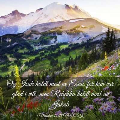 Picture 03 - 1 Mosebok 25:28 NORSK - Og Isak holdt mest av Esau, for han var glad i - Bible Verse Picture