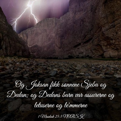 Picture 03 - 1 Mosebok 25:3 NORSK - Og Joksan fikk sønnene Sjeba og Dedan; og Dedans - Bible Verse Picture