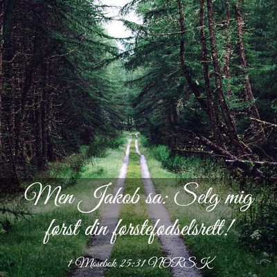 Picture 03 - 1 Mosebok 25:31 NORSK - Men Jakob sa: Selg mig først din - Bible Verse Picture