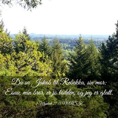 Picture 03 - 1 Mosebok 27:11 NORSK - Da sa Jakob til Rebekka, sin mor: Esau, min bror, - Bible Verse Picture