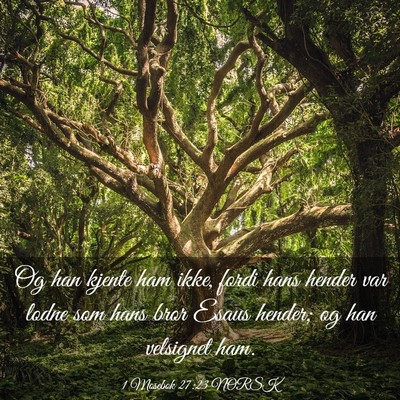 Picture 03 - 1 Mosebok 27:23 NORSK - Og han kjente ham ikke, fordi hans hender var - Bible Verse Picture