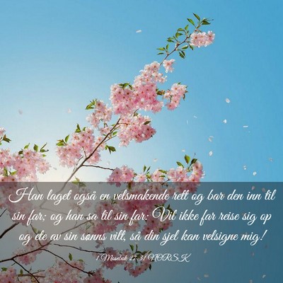 Picture 03 - 1 Mosebok 27:31 NORSK - Han laget også en velsmakende rett og bar den - Bible Verse Picture