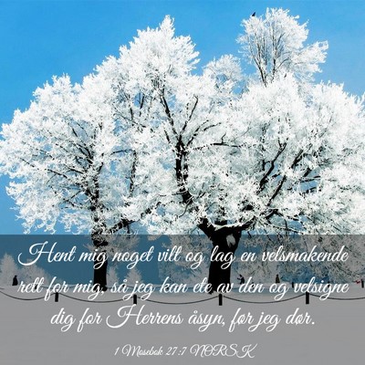 Picture 03 - 1 Mosebok 27:7 NORSK - Hent mig noget vilt og lag en velsmakende rett - Bible Verse Picture