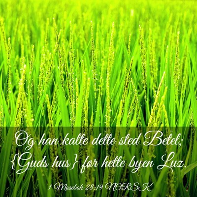 Picture 03 - 1 Mosebok 28:19 NORSK - Og han kalte dette sted Betel; {Guds hus} før - Bible Verse Picture