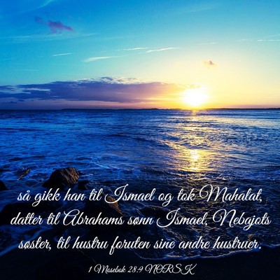 Picture 03 - 1 Mosebok 28:9 NORSK - så gikk han til Ismael og tok Mahalat, datter - Bible Verse Picture