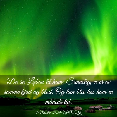 Picture 03 - 1 Mosebok 29:14 NORSK - Da sa Laban til ham: Sannelig, vi er av samme - Bible Verse Picture