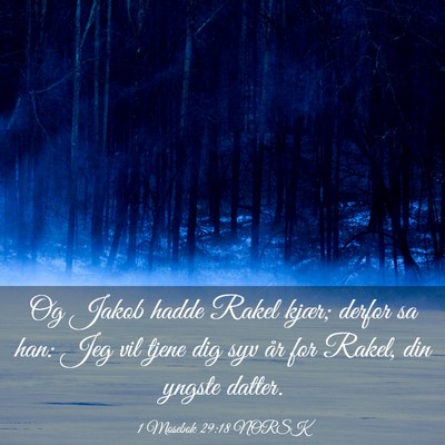 Picture 03 - 1 Mosebok 29:18 NORSK - Og Jakob hadde Rakel kjær; derfor sa han: Jeg - Bible Verse Picture