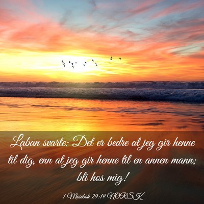 Picture 03 - 1 Mosebok 29:19 NORSK - Laban svarte: Det er bedre at jeg gir henne til - Bible Verse Picture