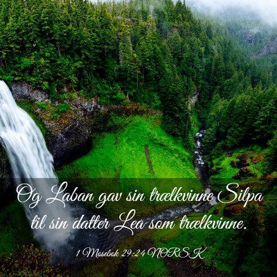 Picture 03 - 1 Mosebok 29:24 NORSK - Og Laban gav sin trælkvinne Silpa til sin datter - Bible Verse Picture