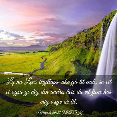 Picture 03 - 1 Mosebok 29:27 NORSK - La nu Leas bryllups-uke gå til ende, så vil vi - Bible Verse Picture