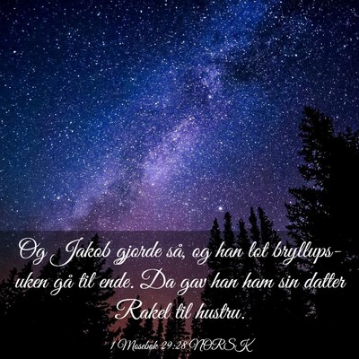 Picture 03 - 1 Mosebok 29:28 NORSK - Og Jakob gjorde så, og han lot bryllups-uken gå - Bible Verse Picture
