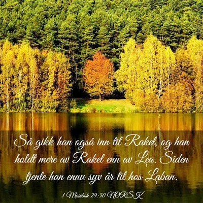 Picture 03 - 1 Mosebok 29:30 NORSK - Så gikk han også inn til Rakel, og han holdt - Bible Verse Picture