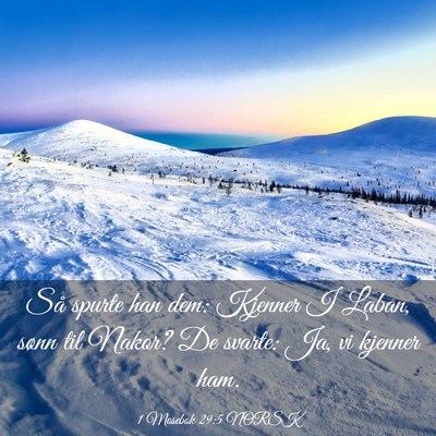 Picture 03 - 1 Mosebok 29:5 NORSK - Så spurte han dem: Kjenner I Laban, sønn til - Bible Verse Picture
