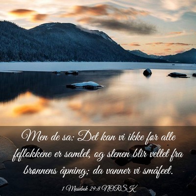 Picture 03 - 1 Mosebok 29:8 NORSK - Men de sa: Det kan vi ikke før alle feflokkene - Bible Verse Picture