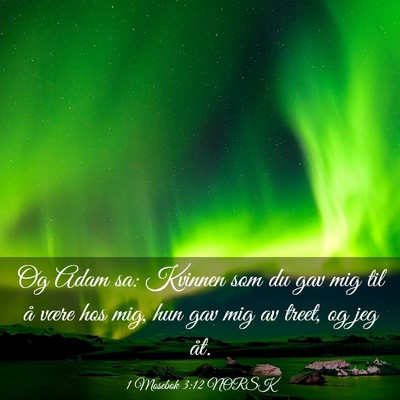 Picture 03 - 1 Mosebok 3:12 NORSK - Og Adam sa: Kvinnen som du gav mig til å være - Bible Verse Picture