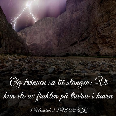 Picture 03 - 1 Mosebok 3:2 NORSK - Og kvinnen sa til slangen: Vi kan ete av frukten - Bible Verse Picture