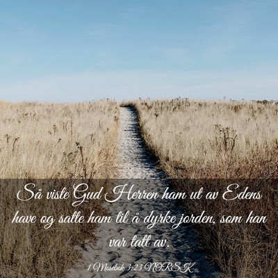 Picture 03 - 1 Mosebok 3:23 NORSK - Så viste Gud Herren ham ut av Edens have og - Bible Verse Picture
