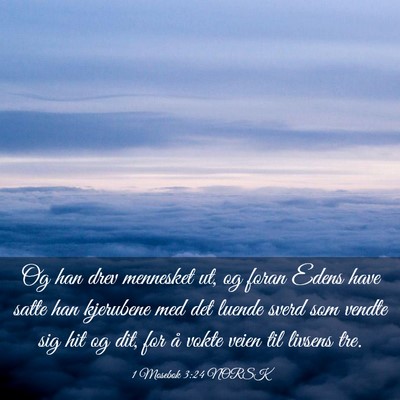 Picture 03 - 1 Mosebok 3:24 NORSK - Og han drev mennesket ut, og foran Edens have - Bible Verse Picture