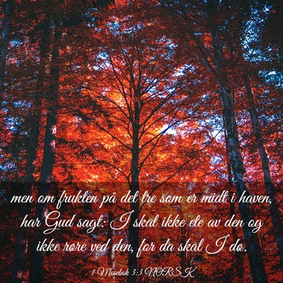 Picture 03 - 1 Mosebok 3:3 NORSK - men om frukten på det tre som er midt i haven, - Bible Verse Picture