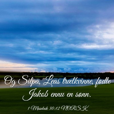 Picture 03 - 1 Mosebok 30:12 NORSK - Og Silpa, Leas trælkvinne, fødte Jakob ennu en - Bible Verse Picture