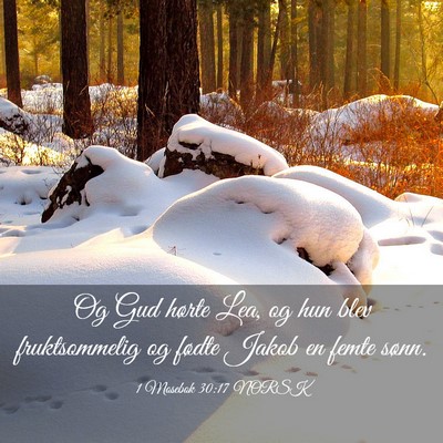 Picture 03 - 1 Mosebok 30:17 NORSK - Og Gud hørte Lea, og hun blev fruktsommelig og - Bible Verse Picture