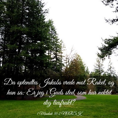 Picture 03 - 1 Mosebok 30:2 NORSK - Da optendtes Jakobs vrede mot Rakel, og han sa: - Bible Verse Picture