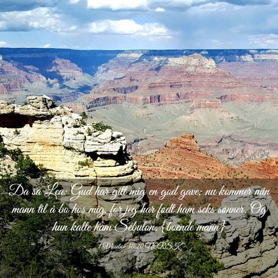 Picture 03 - 1 Mosebok 30:20 NORSK - Da sa Lea: Gud har gitt mig en god gave; nu - Bible Verse Picture