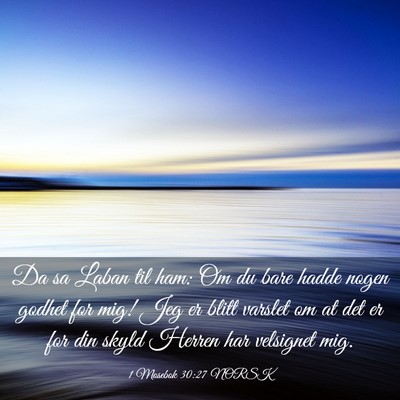Picture 03 - 1 Mosebok 30:27 NORSK - Da sa Laban til ham: Om du bare hadde nogen - Bible Verse Picture
