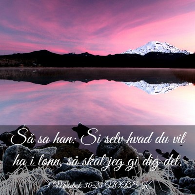 Picture 03 - 1 Mosebok 30:28 NORSK - Så sa han: Si selv hvad du vil ha i lønn, så - Bible Verse Picture