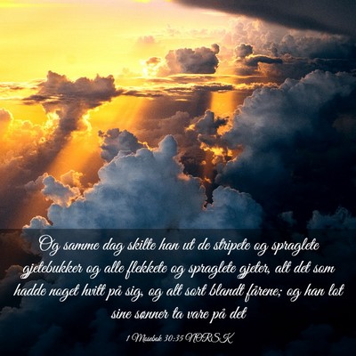 Picture 03 - 1 Mosebok 30:35 NORSK - Og samme dag skilte han ut de stripete og - Bible Verse Picture